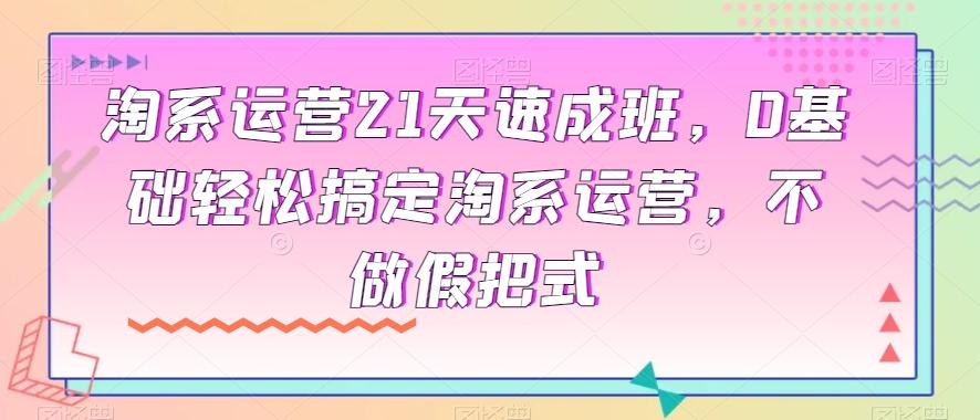 淘系运营21天速成班，0基础轻松搞定淘系运营，不做假把式-精品虚拟资源库