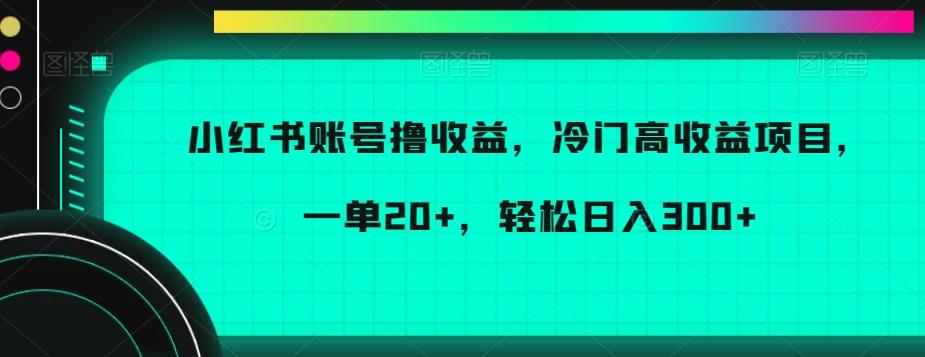 小红书账号撸收益，冷门高收益项目，一单20+，轻松日入300+【揭秘】-精品虚拟资源库