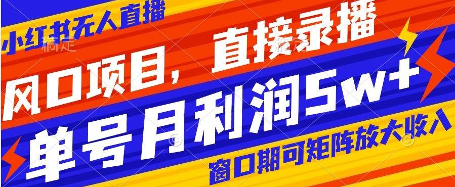 风口项目，小红书无人直播带货，直接录播，可矩阵，月入5w+【揭秘】-精品虚拟资源库