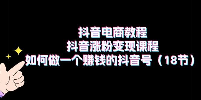 抖音电商教程：抖音涨粉变现课程：如何做一个赚钱的抖音号(18节-精品虚拟资源库
