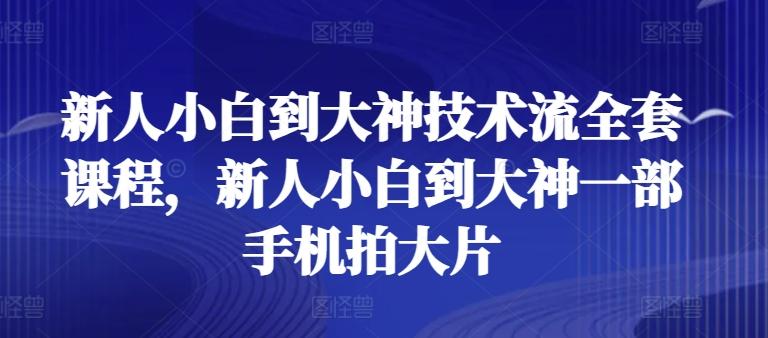 新人小白到大神技术流全套课程，新人小白到大神一部手机拍大片-精品虚拟资源库