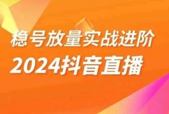 稳号放量实战进阶—2024抖音直播，直播间精细化运营的几大步骤-精品虚拟资源库