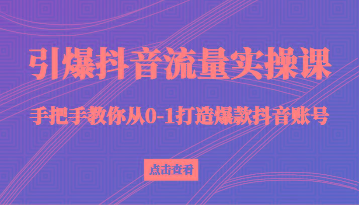 引爆抖音流量实操课，手把手教你从0-1打造爆款抖音账号(27节课)-精品虚拟资源库