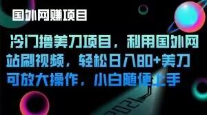 冷门撸美刀项目，利用国外网站刷视频，轻松日入80+美刀，可放大操作，小白随便上手-精品虚拟资源库