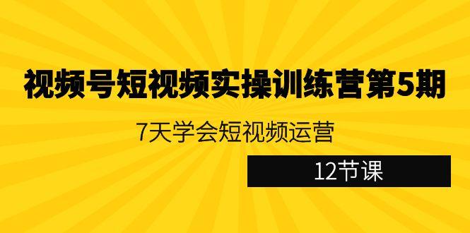 视频号短视频实操训练营第5期：7天学会短视频运营(12节课)-精品虚拟资源库