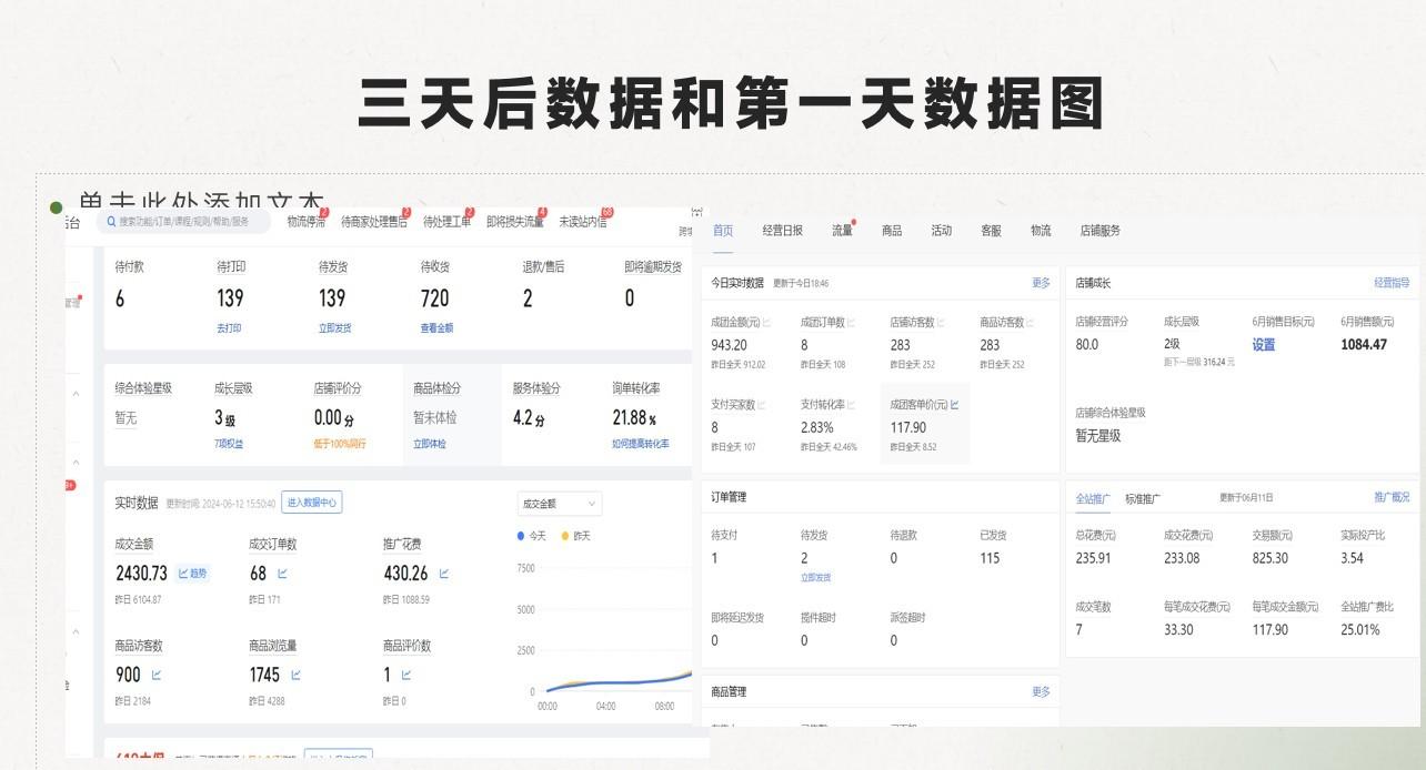 图片[3]-最新拼多多模式日入4K+两天销量过百单，无学费、老运营代操作、小白福利-精品虚拟资源库
