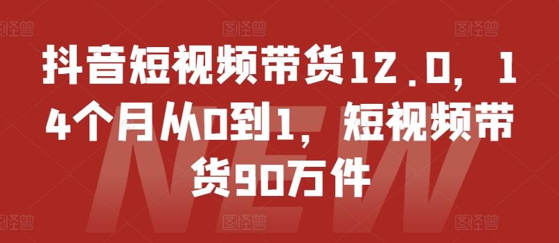 抖音短视频带货12.0，14个月从0到1，短视频带货90万件-精品虚拟资源库