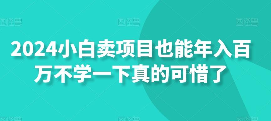 2024小白卖项目也能年入百万不学一下真的可惜了-精品虚拟资源库