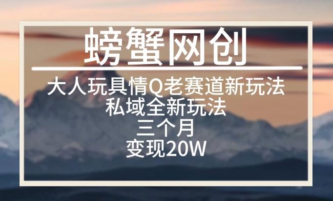 大人玩具情Q用品赛道私域全新玩法，三个月变现20W，老项目新思路【揭秘】-精品虚拟资源库