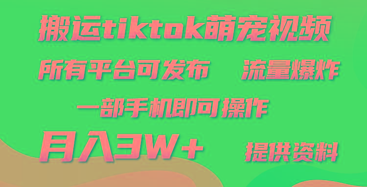 (9618期)搬运Tiktok萌宠类视频，一部手机即可。所有短视频平台均可操作，月入3W+-精品虚拟资源库