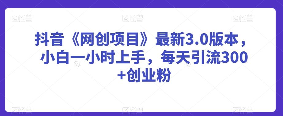 抖音《网创项目》最新3.0版本，小白一小时上手，每天引流300+创业粉【揭秘】-精品虚拟资源库