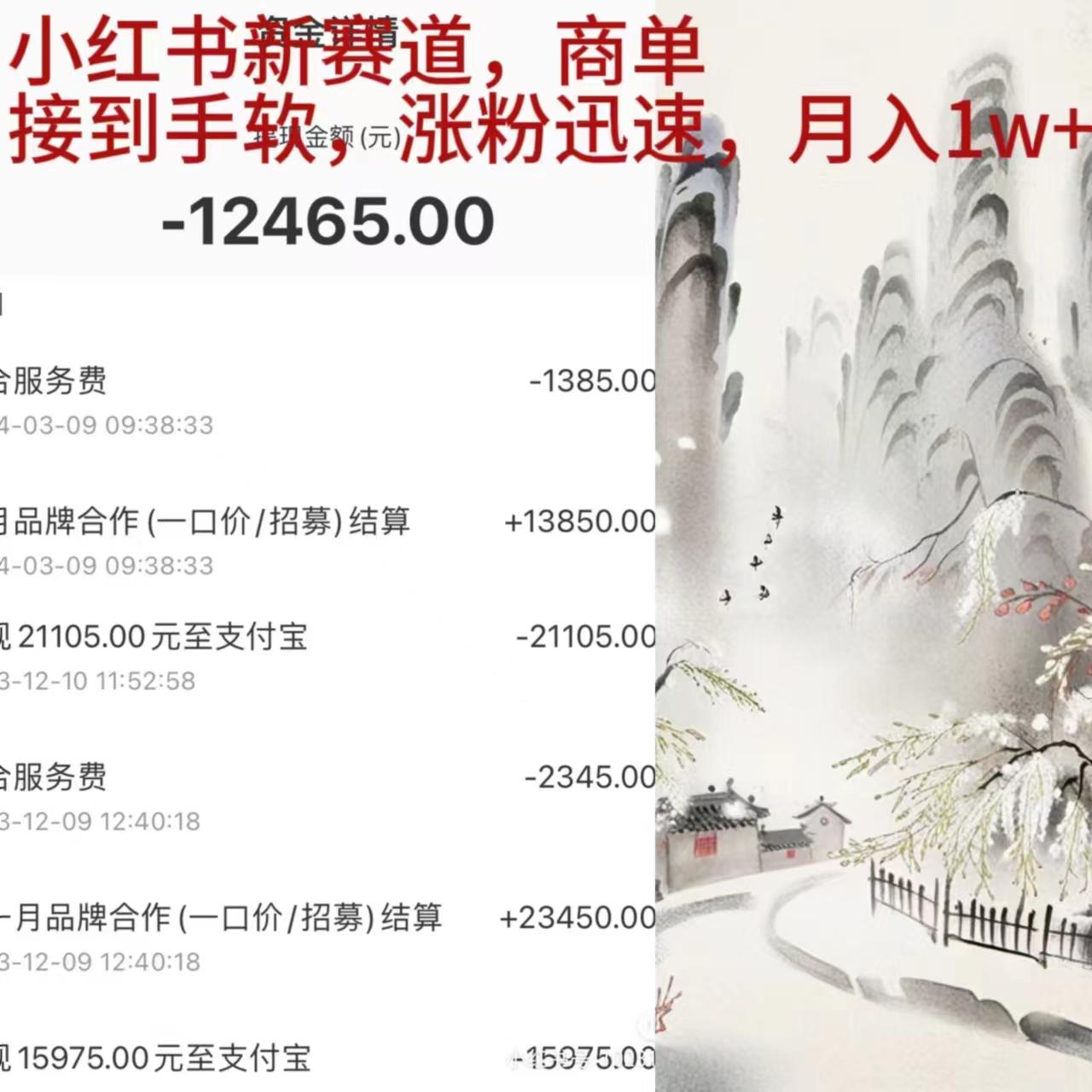 (9476期)小红书新赛道，商单接到手软，涨粉迅速，月入1w+-精品虚拟资源库