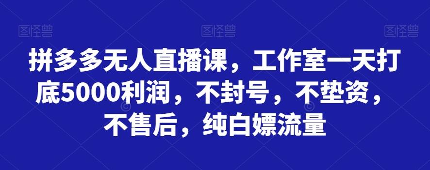 拼多多无人直播课，工作室一天打底5000利润，不封号，不垫资，不售后，纯白嫖流量-精品虚拟资源库