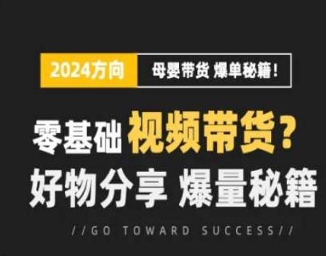 短视频母婴赛道实操流量训练营，零基础视频带货，好物分享，爆量秘籍-精品虚拟资源库