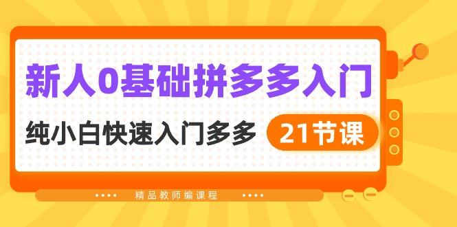 新人0基础拼多多入门，​纯小白快速入门多多(21节课-精品虚拟资源库