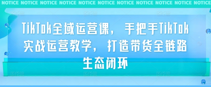 TikTok全域运营课，手把手TikTok实战运营教学，打造带货全链路生态闭环-精品虚拟资源库
