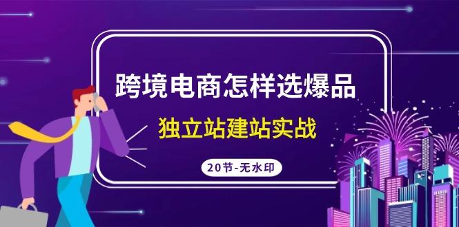 (9369期)跨境电商怎样选爆品，独立站建站实战(20节高清无水印课)-精品虚拟资源库