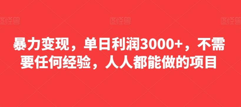 暴力变现，单日利润3000+，不需要任何经验，人人都能做的项目-精品虚拟资源库