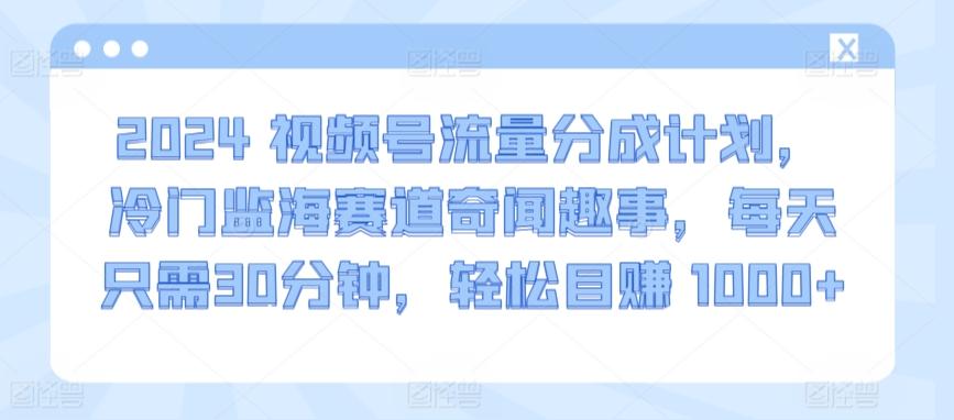 2024视频号流量分成计划，冷门监海赛道奇闻趣事，每天只需30分钟，轻松目赚 1000+【揭秘】-精品虚拟资源库