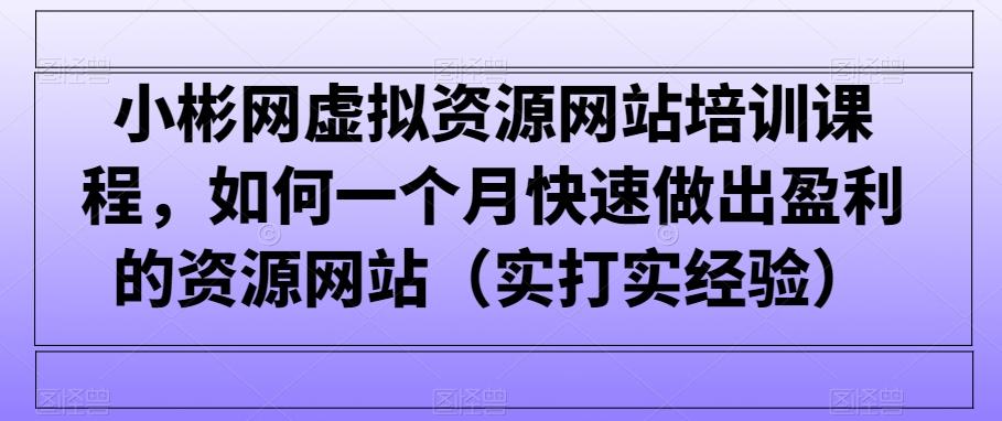 小彬网虚拟资源网站培训课程，如何一个月快速做出盈利的资源网站(实打实经验)-精品虚拟资源库