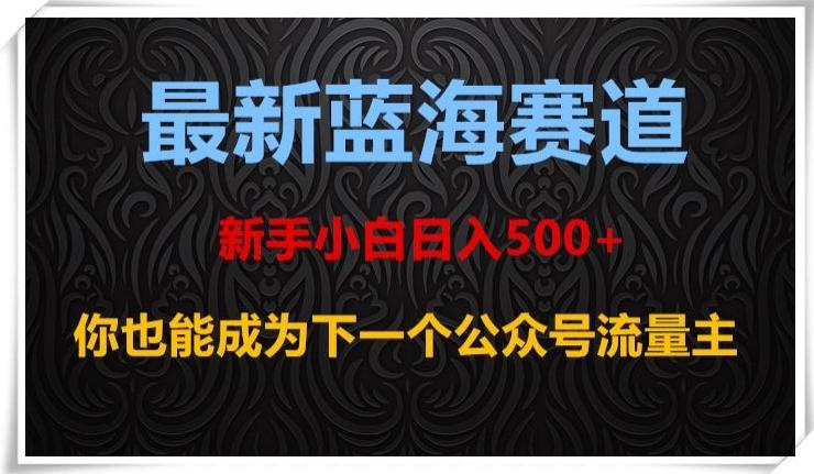 最新蓝海赛道，新手小白日入500+，你也能成为下一个公众号流量主【揭秘】-精品虚拟资源库