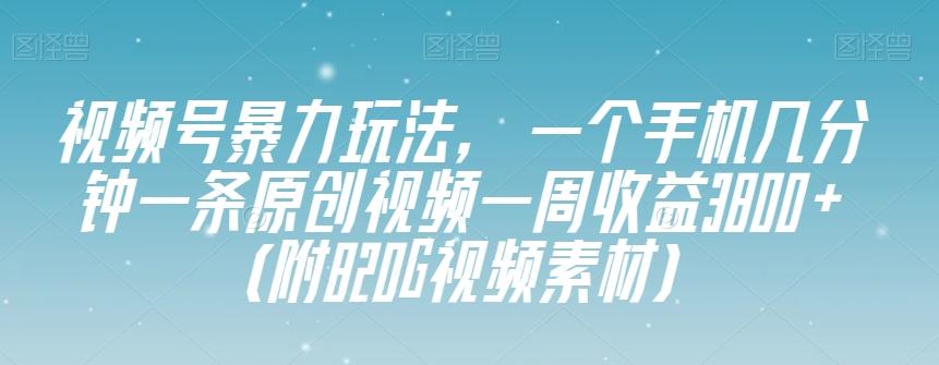 视频号暴力玩法，一个手机几分钟一条原创视频一周收益3800+（附820G视频素材）-精品虚拟资源库