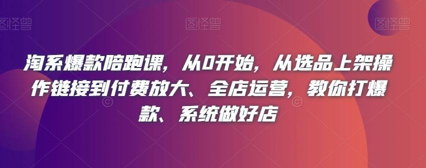 淘系爆款陪跑课，从0开始，从选品上架操作链接到付费放大、全店运营，教你打爆款、系统做好店-精品虚拟资源库