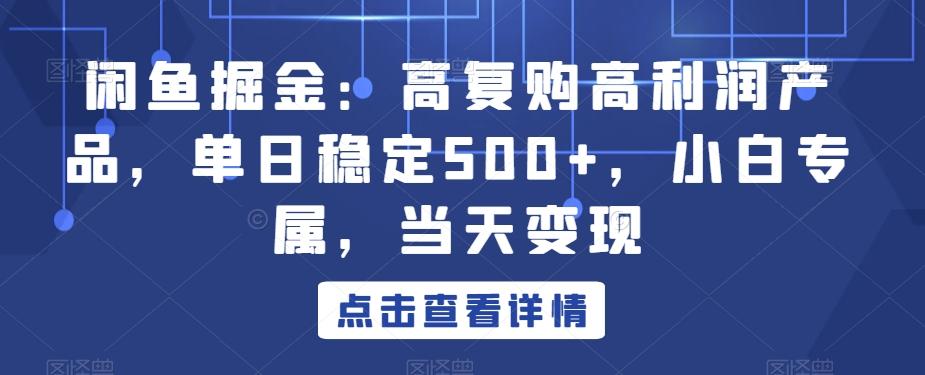 闲鱼掘金：高复购高利润产品，单日稳定500+，小白专属，当天变现-精品虚拟资源库