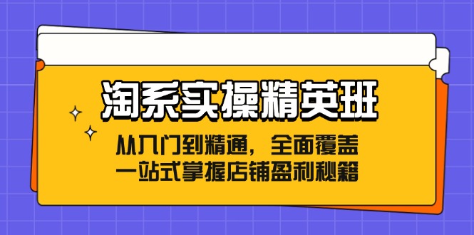 淘系实操精英班：从入门到精通，全面覆盖，一站式掌握店铺盈利秘籍-精品虚拟资源库