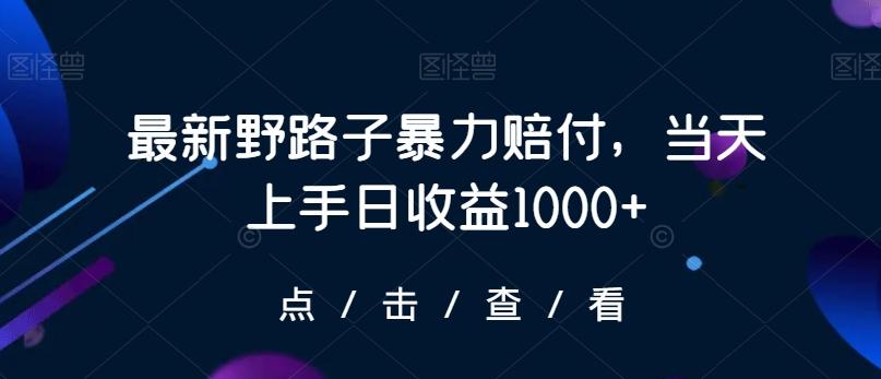 最新野路子暴力赔付，当天上手日收益1000+【仅揭秘】-精品虚拟资源库