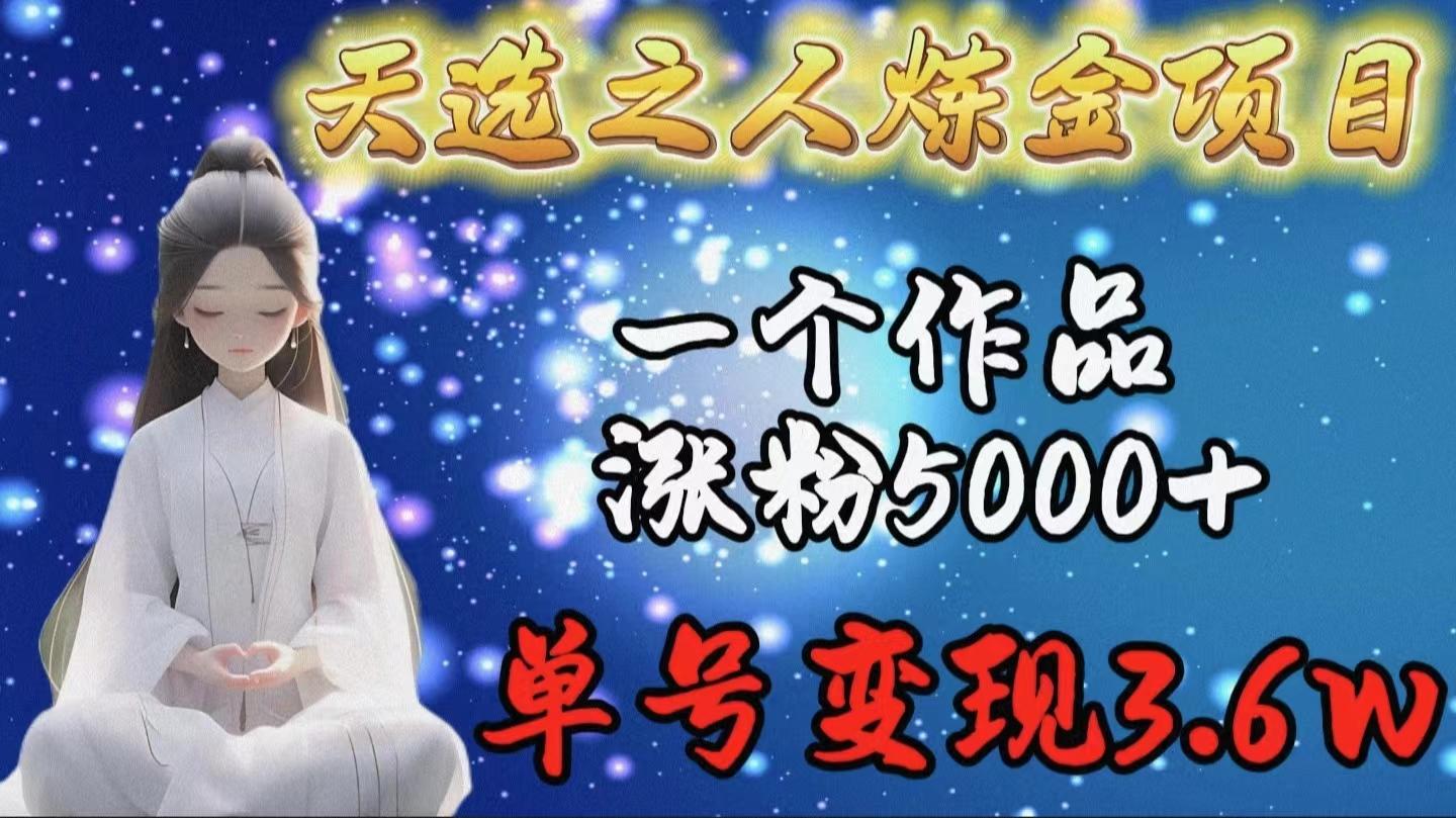 (9693期)天选之人炼金项目，一个作品涨粉5000+，单号变现3.6w-精品虚拟资源库