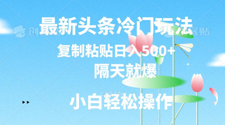 最新头条冷门玩法，隔天就爆，复制粘贴日入500+-精品虚拟资源库