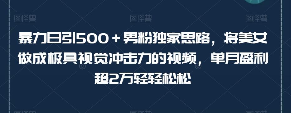 暴力日引500＋男粉独家思路，将美女做成极具视觉冲击力的视频，单月盈利超2万轻轻松松-精品虚拟资源库