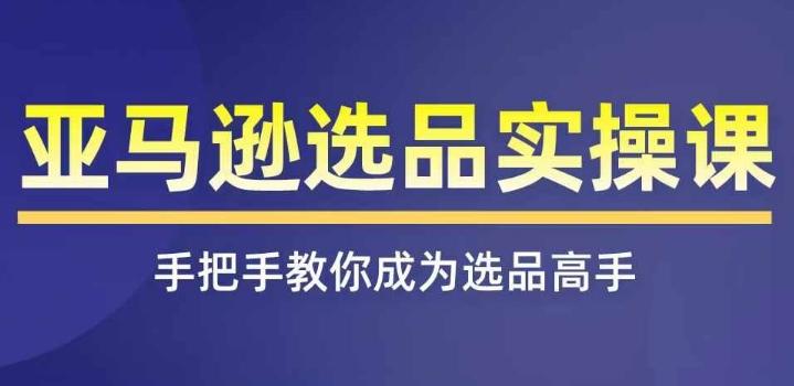 亚马逊选品实操课程，快速掌握亚马逊选品的技巧，覆盖亚马逊选品所有渠道-精品虚拟资源库