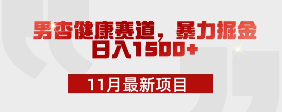 11月最新项目，男杏健康赛道，暴力掘金，日入1500+-精品虚拟资源库