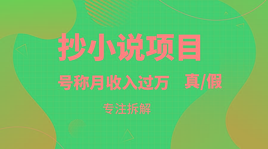 抄小说项目，号称月入过万，到底是否真实，能不能做，详细拆解-精品虚拟资源库