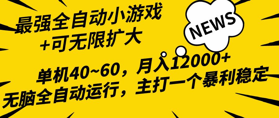 (10046期)2024最新全网独家小游戏全自动，单机40~60,稳定躺赚，小白都能月入过万-精品虚拟资源库