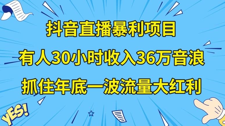 抖音直播暴利项目，有人30小时收入36万音浪，公司宣传片年会视频制作，抓住年底一波流量大红利【揭秘】-精品虚拟资源库
