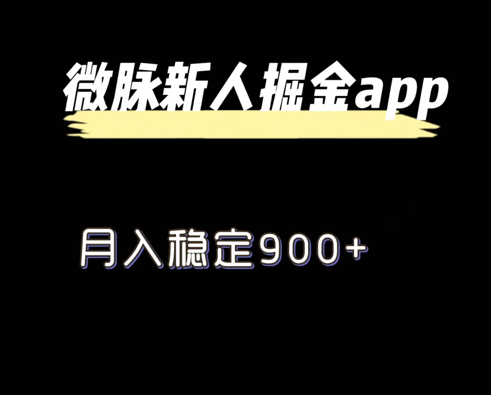 最新微脉长久项目，拉新掘金，月入稳定900+-精品虚拟资源库