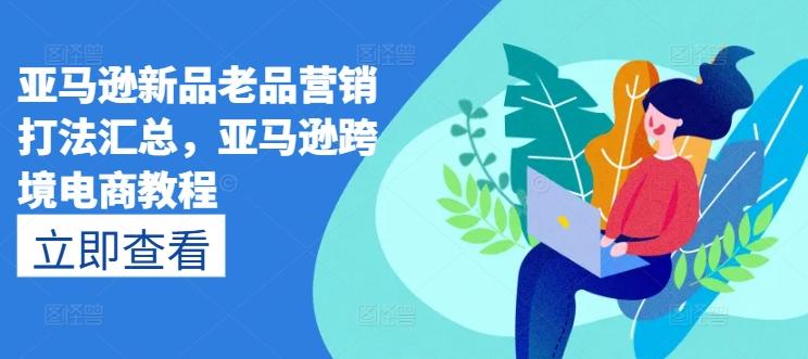亚马逊新品老品营销打法汇总，亚马逊跨境电商教程-精品虚拟资源库