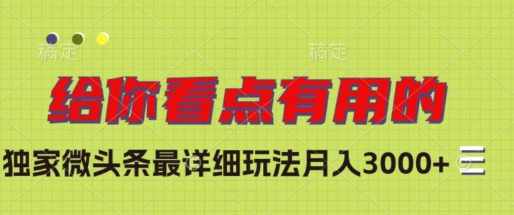 独家微头条最详细玩法，月入3000+【揭秘】-精品虚拟资源库