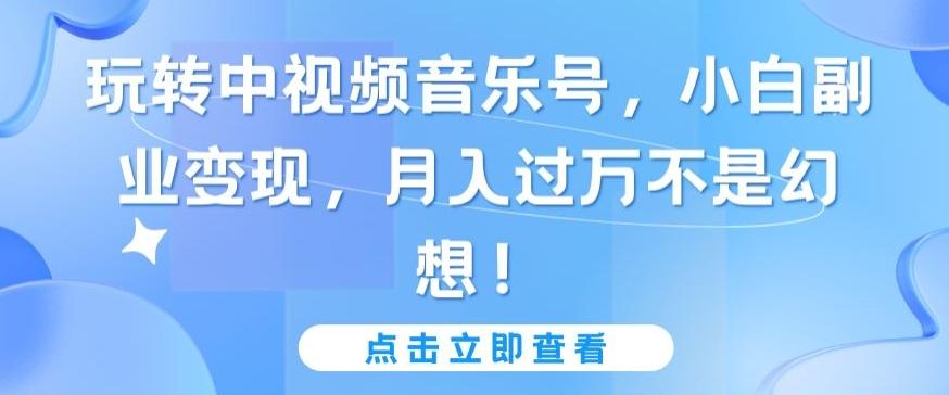 玩转中视频音乐号，小白副业变现，月入过万不是幻想【揭秘】-精品虚拟资源库
