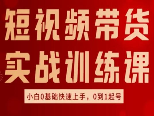 短视频带货实战训练课，好物分享实操，小白0基础快速上手，0到1起号-精品虚拟资源库