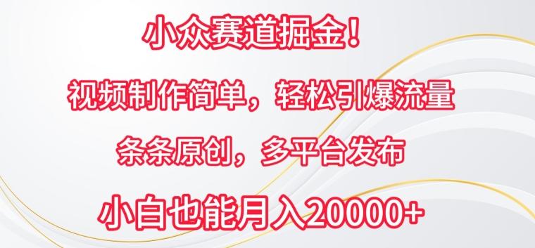 小众赛道掘金，视频制作简单，轻松引爆流量，条条原创，多平台发布【揭秘】-精品虚拟资源库