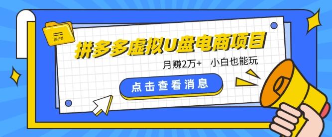 拼多多虚拟U盘电商红利项目：月赚2万+，新手小白也能玩-精品虚拟资源库