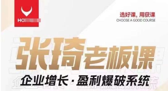 【组合课】张琦张琦老板企业增长·盈利爆破系统（直播专享）-精品虚拟资源库