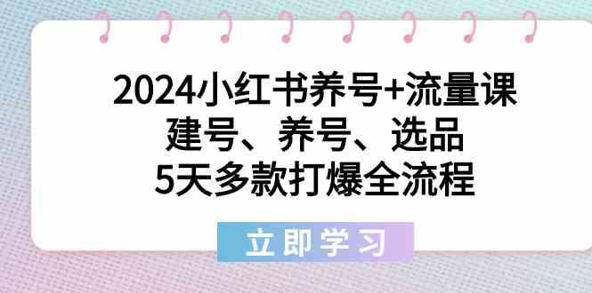 2024小红书养号+流量课：建号、养号、选品，5天多款打爆全流程-精品虚拟资源库