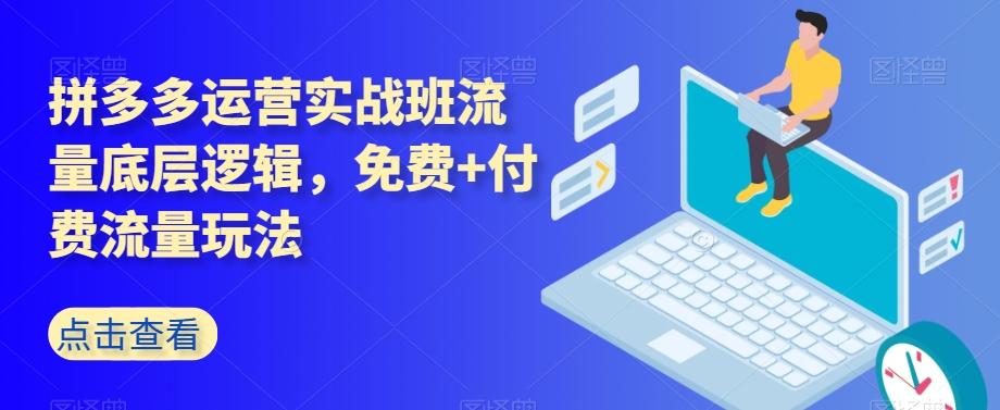 拼多多运营实战班流量底层逻辑，免费+付费流量玩法-精品虚拟资源库