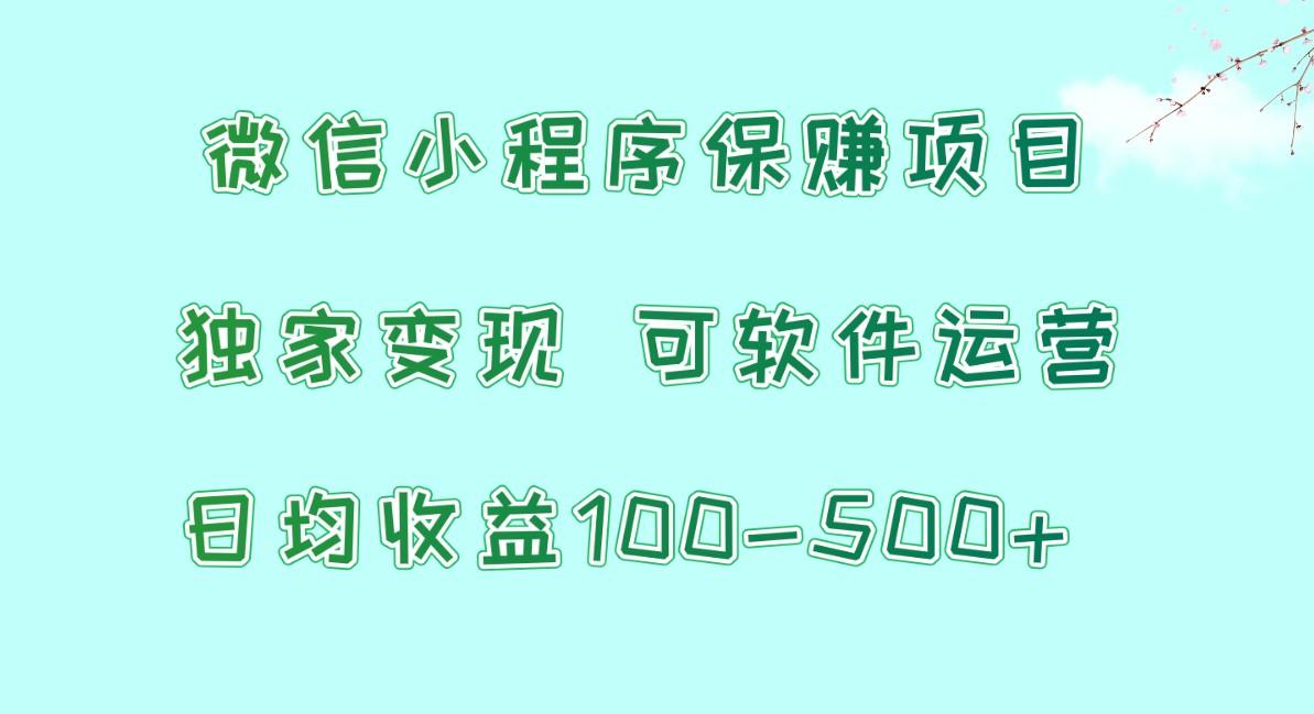 微信小程序保赚项目，日均收益100~500+，独家变现，可软件运营-精品虚拟资源库