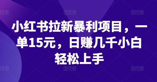 小红书拉新暴利项目，一单15元，日赚几千小白轻松上手【揭秘】-精品虚拟资源库